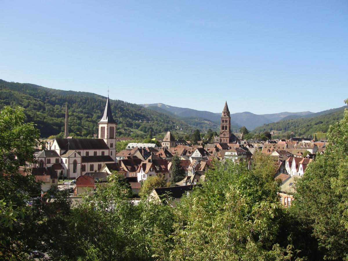 Ferienwohnung Les Gentianes Breitenbach-Haut-Rhin Exterior foto