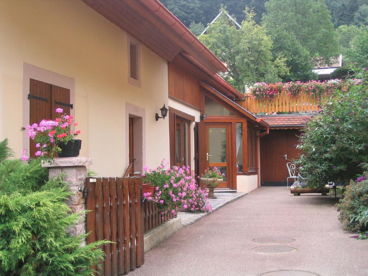 Ferienwohnung Les Gentianes Breitenbach-Haut-Rhin Exterior foto