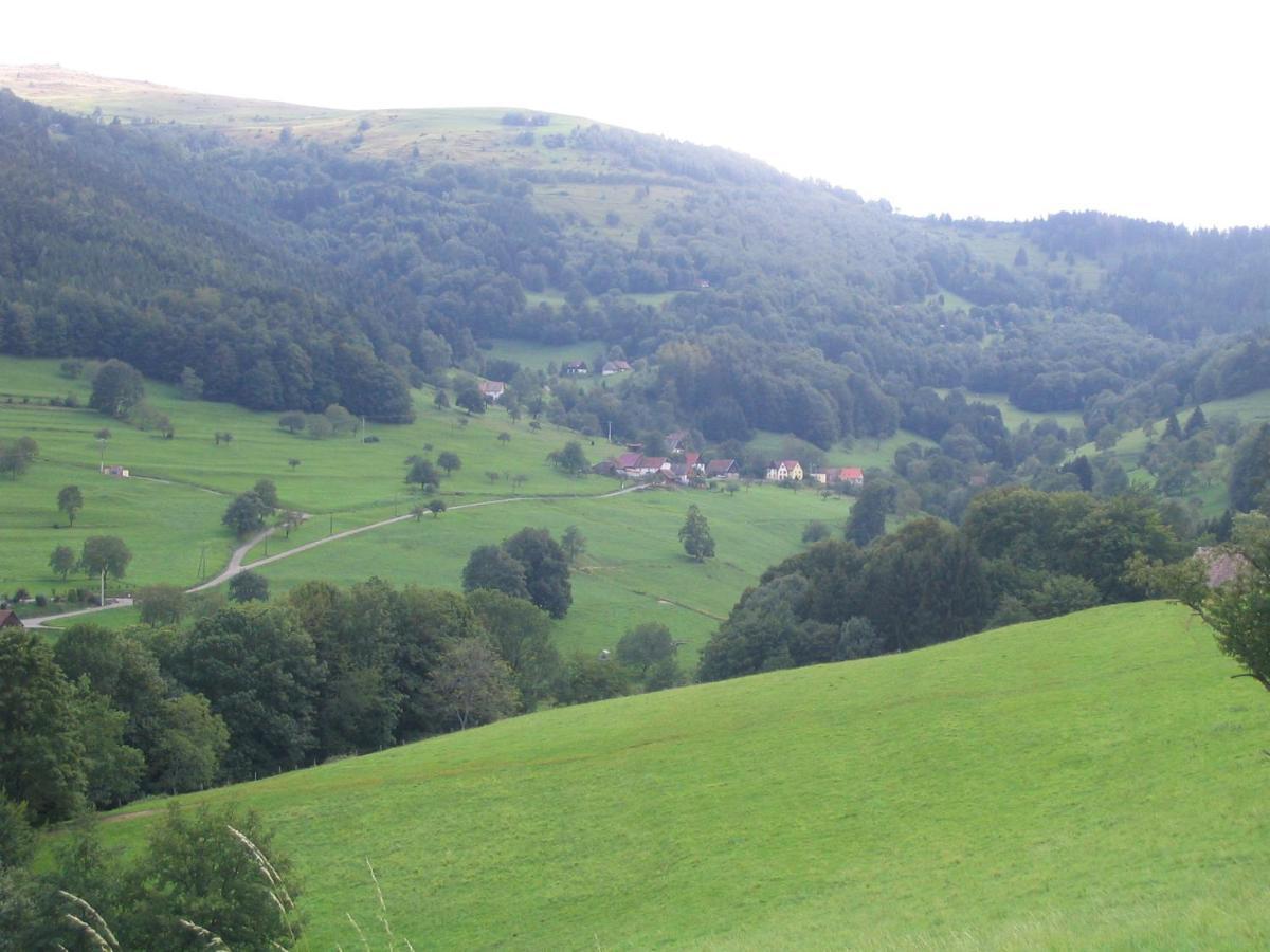 Ferienwohnung Les Gentianes Breitenbach-Haut-Rhin Exterior foto