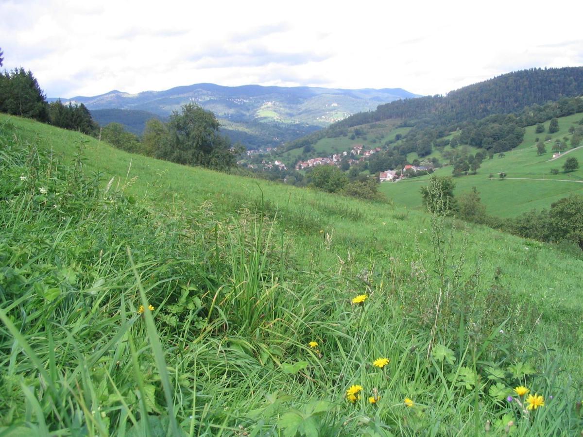 Ferienwohnung Les Gentianes Breitenbach-Haut-Rhin Exterior foto