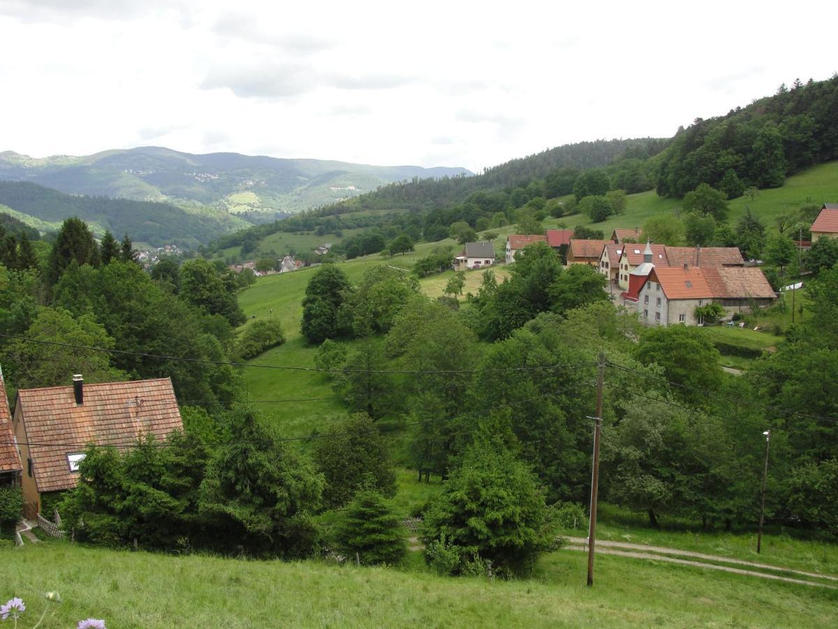 Ferienwohnung Les Gentianes Breitenbach-Haut-Rhin Exterior foto