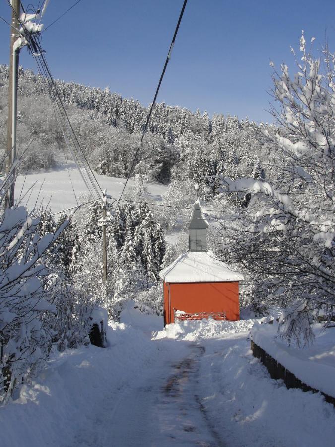 Ferienwohnung Les Gentianes Breitenbach-Haut-Rhin Exterior foto